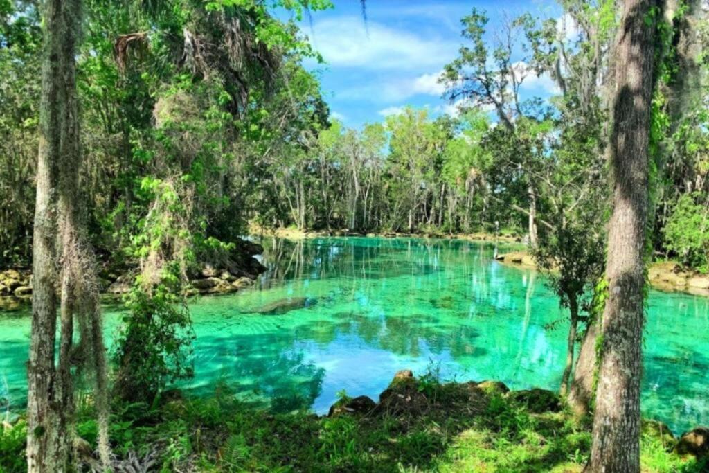 Nature Coast Getaway #1 - Cozy 2 Bedroom Homosassa Exterior photo
